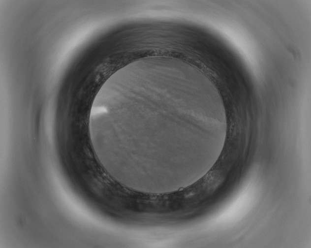 X0000112960383200909241205