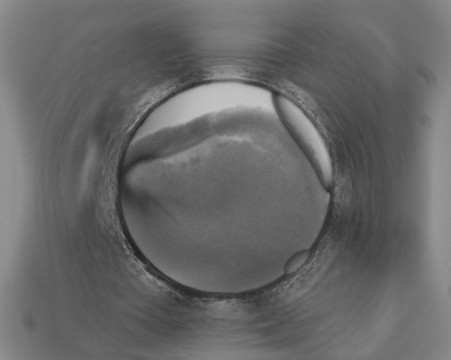 X0000112960385200909241204