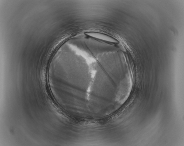 X0000112960386200909241204