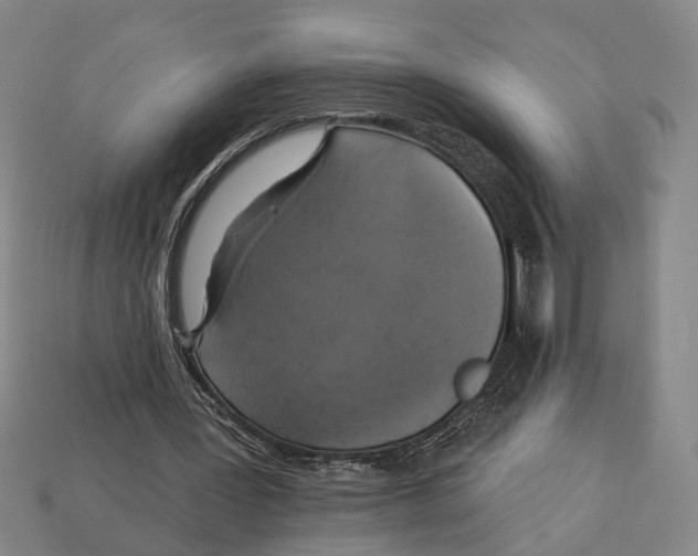 X0000112960387200909241204