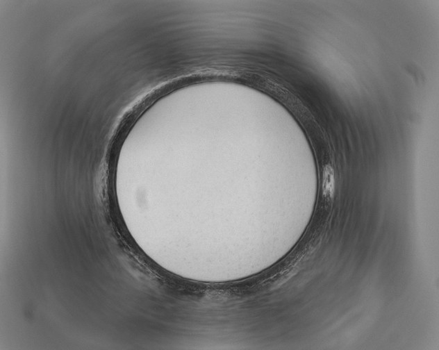 X0000112960388200909241204