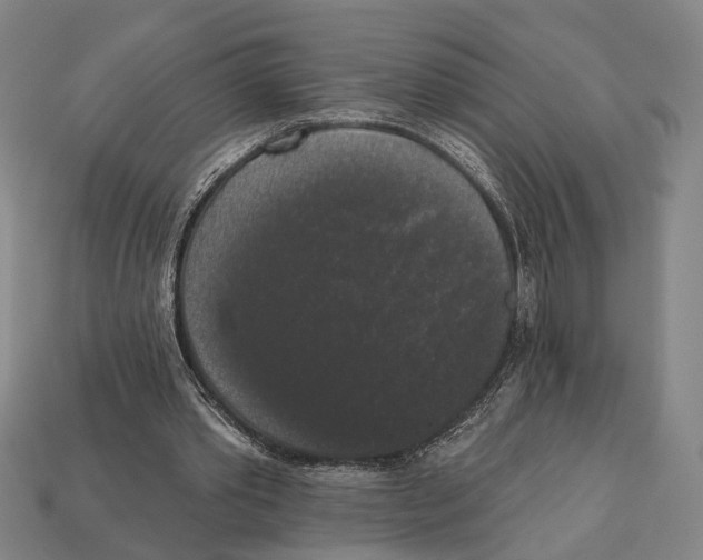 X0000112960389200909241204