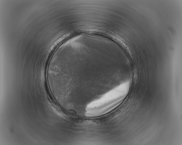 X0000112960390200909241204