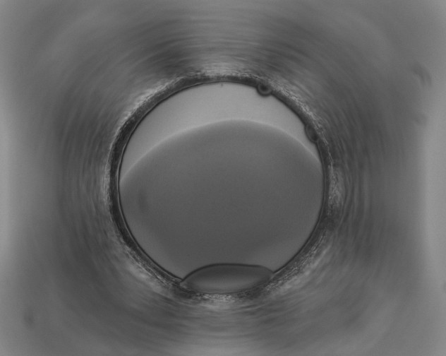 X0000112960391200909241204