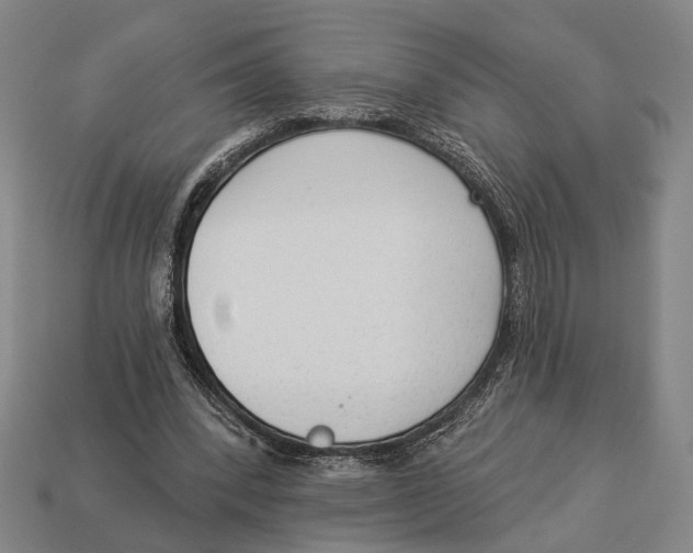 X0000112960392200909241204