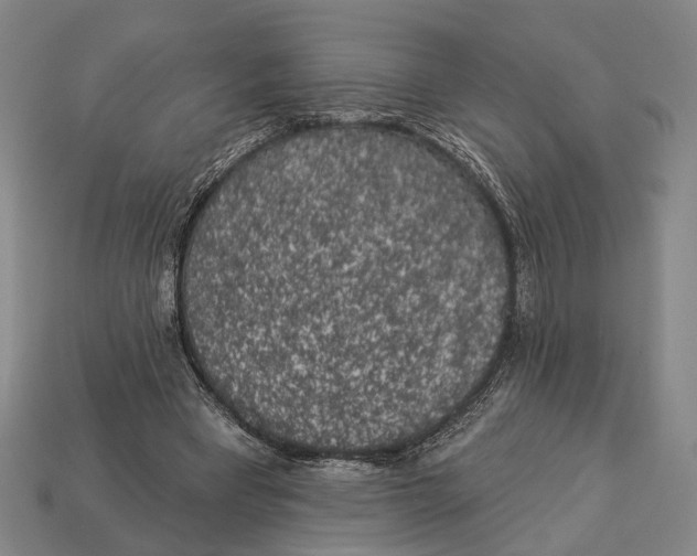 X0000112960393200909241204