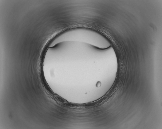 X0000112960395200909241204