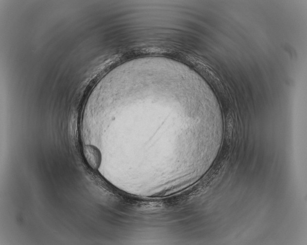 X0000112960398200909241204