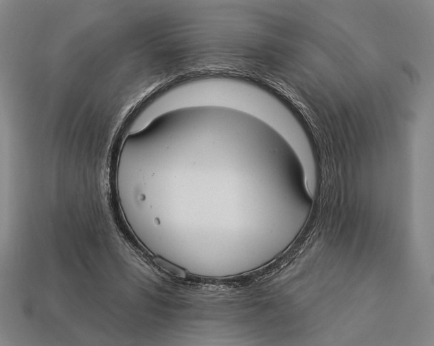 X0000112960399200909241204