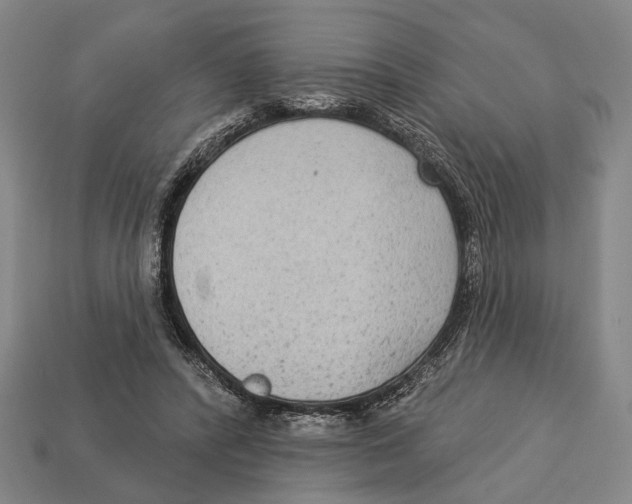 X0000112960400200909241204