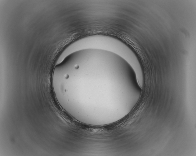 X0000112960401200909241204