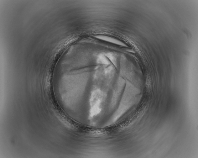 X0000112960402200909241204