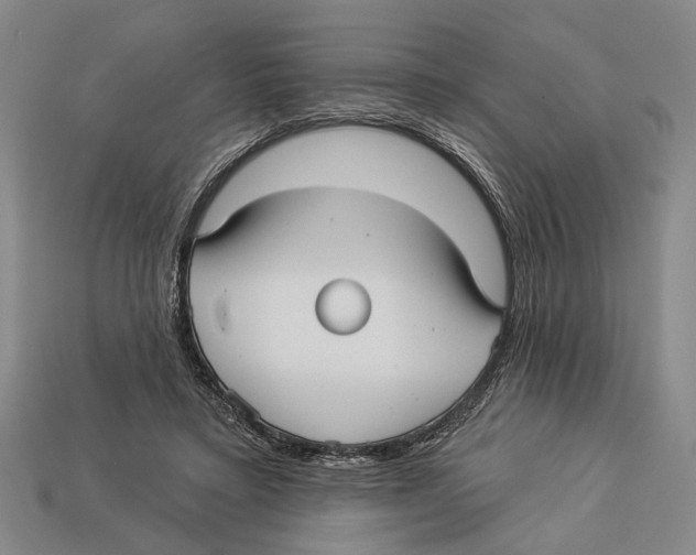 X0000112960403200909241204