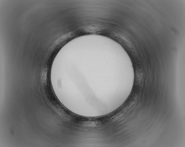 X0000112960404200909241204