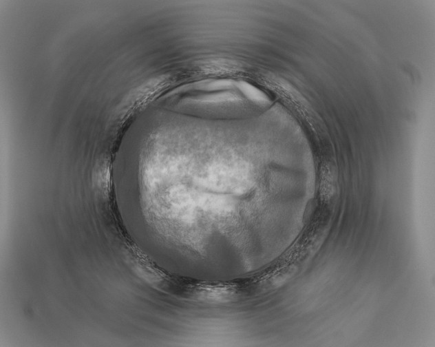 X0000112960405200909241204