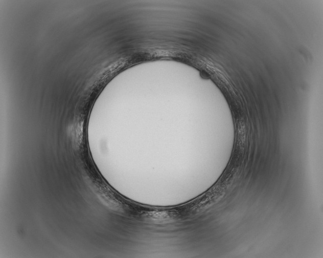 X0000112960406200909241204