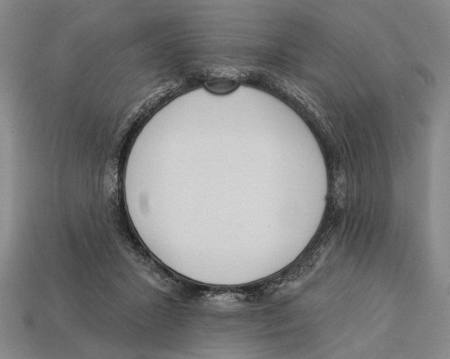 X0000112960407200909241204