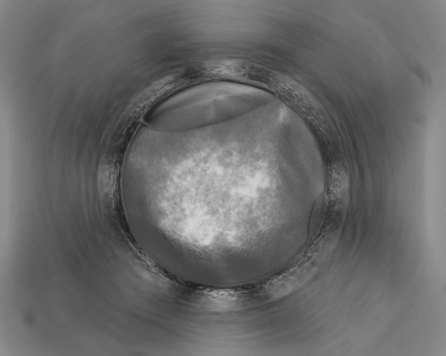 X0000112960409200909241204