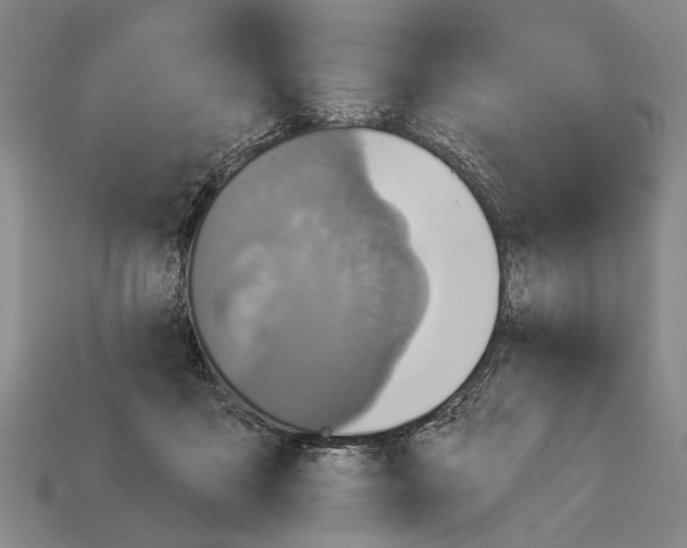 X0000112960411200909241204