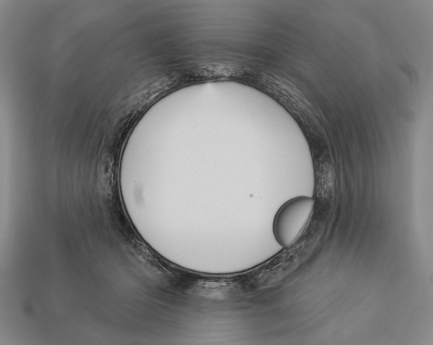 X0000112960414200909241204