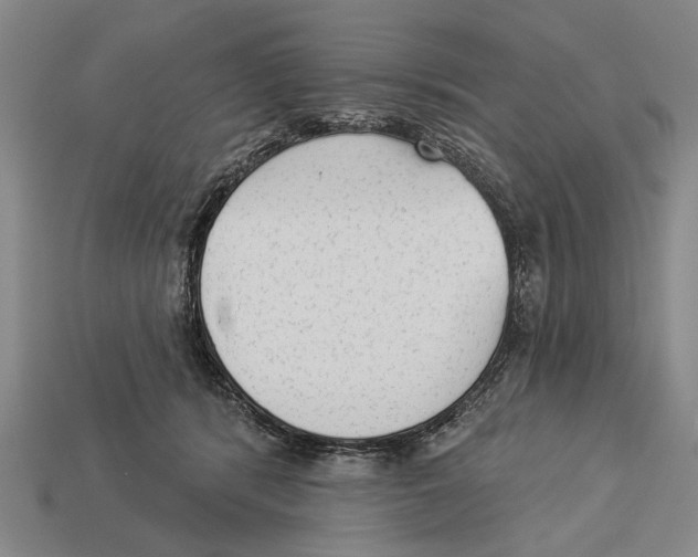 X0000112960416200909241204