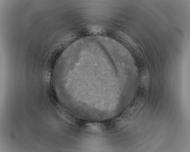 X0000112960417200909241204