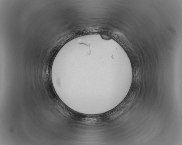 X0000112960418200909241204