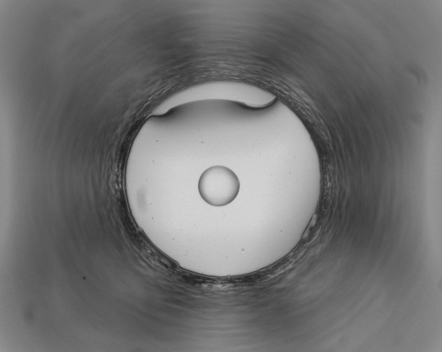 X0000112960419200909241204