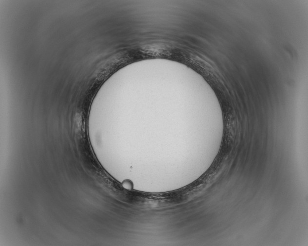 X0000112960420200909241204