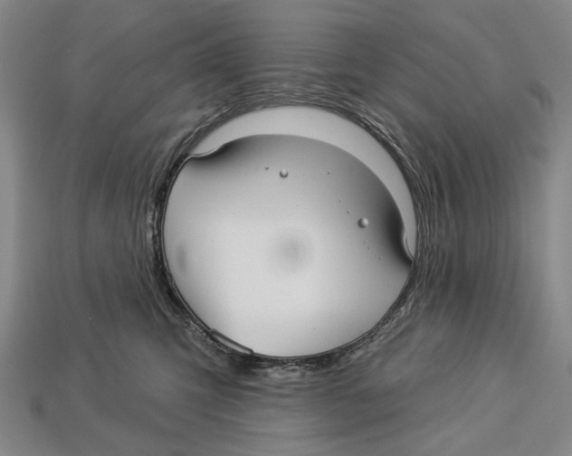 X0000112960423200909241204