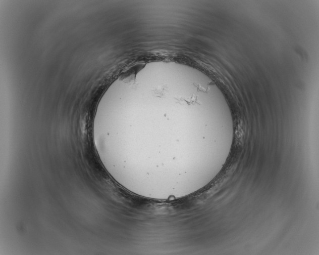 X0000112960424200909241204