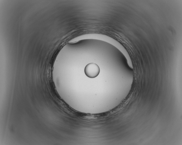 X0000112960425200909241204