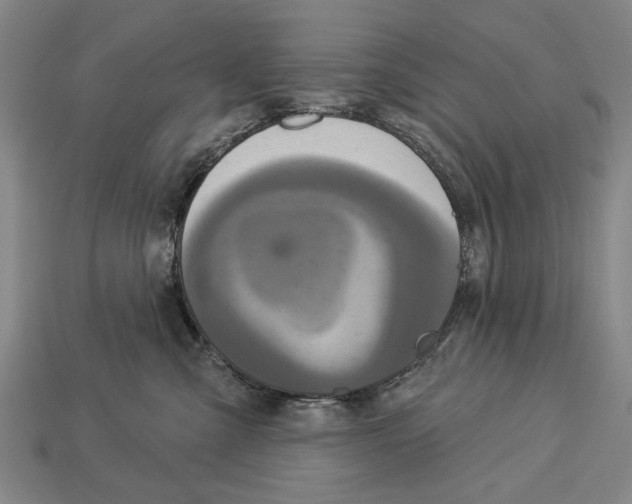 X0000112960427200909241203