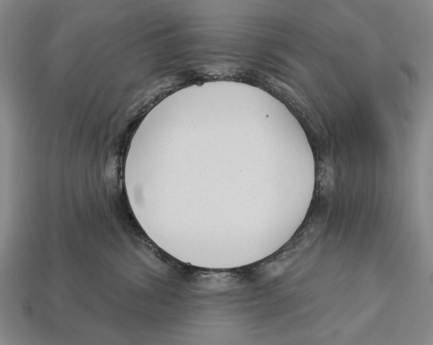 X0000112960428200909241203