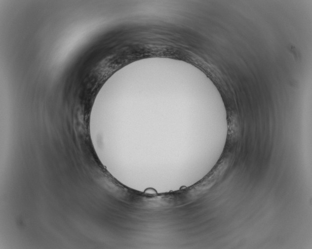 X0000112960430200909241203