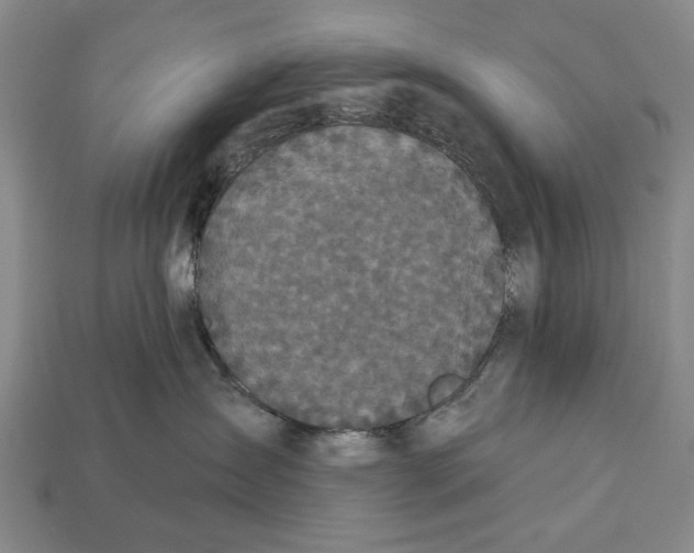 X0000112960431200909241203