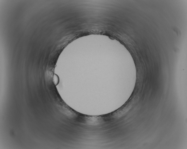 X0000112960432200909241203