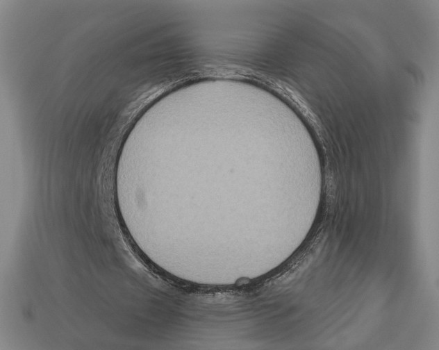 X0000112960433200909241203