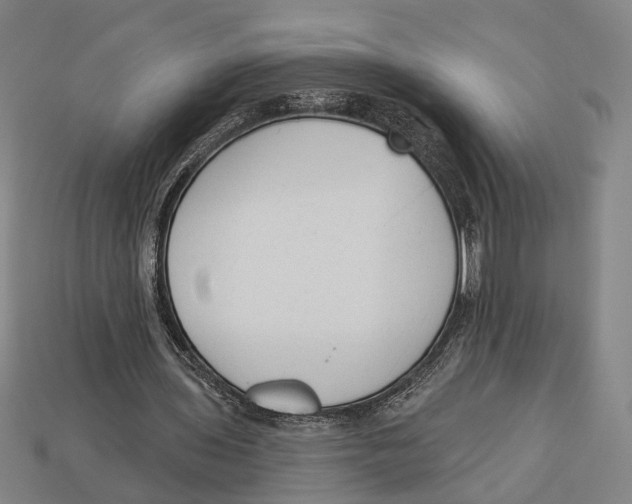 X0000112960435200909241203