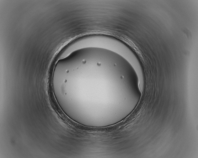 X0000112960436200909241203