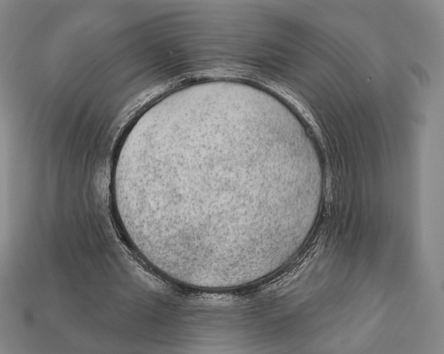 X0000112960437200909241203