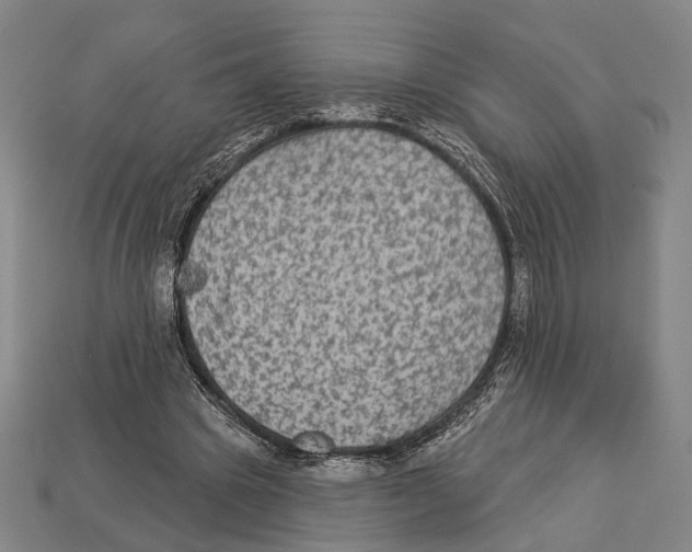 X0000112960441200909241203