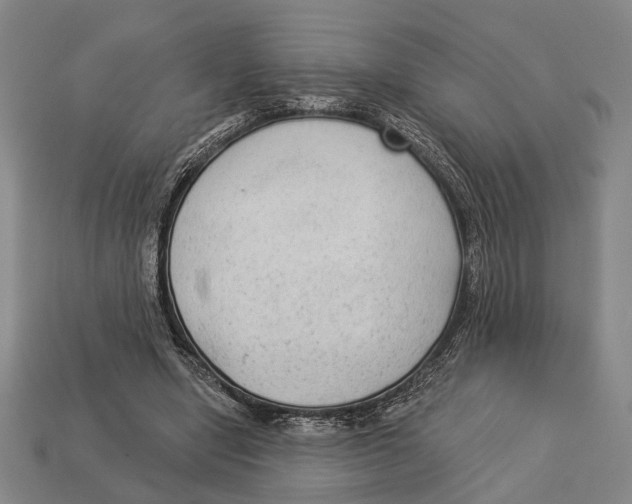 X0000112960442200909241203