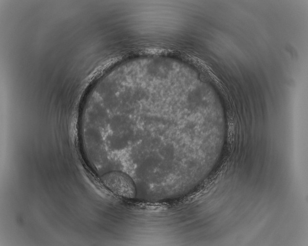 X0000112960443200909241203