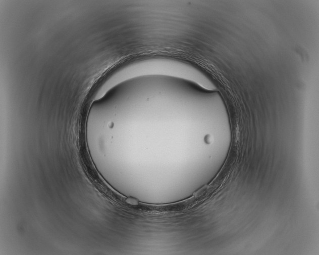 X0000112960444200909241203