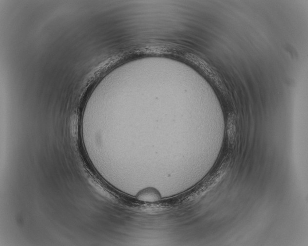 X0000112960445200909241203