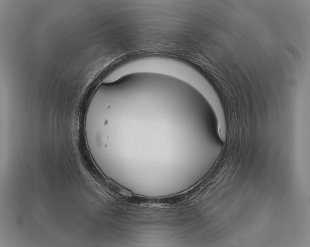 X0000112960448200909241203