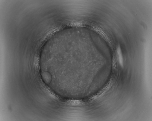 X0000112960449200909241203