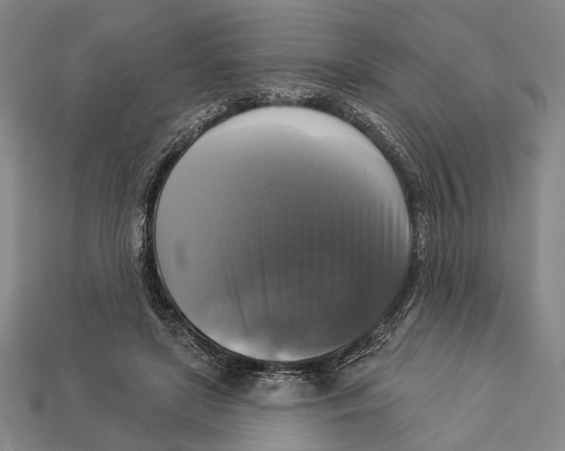 X0000112960451200909241203