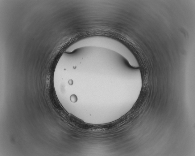 X0000112960452200909241203